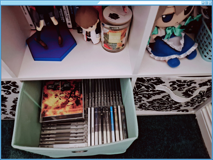 The CD Bin
