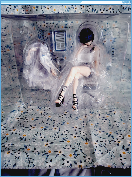 Figure inside of the packaging blister