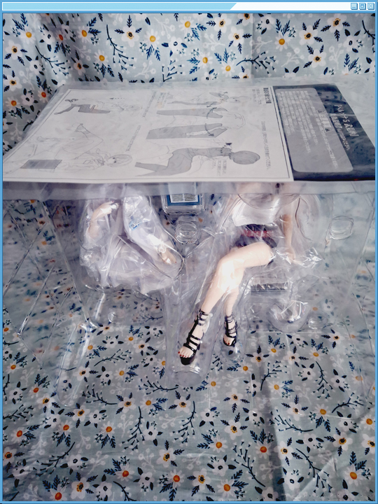 Assembly instructions on top of blister