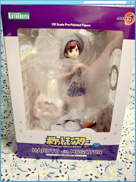 Box Front with Window