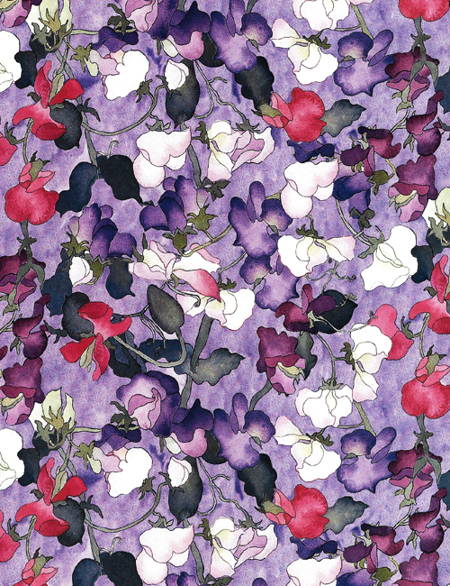 Sweet Peas