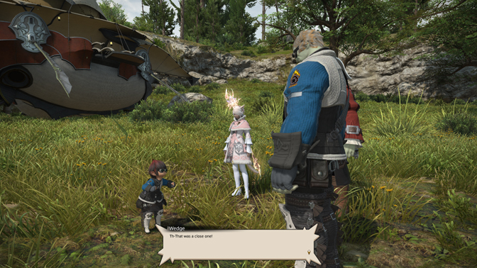 Biggs & Wedge rescue operation.