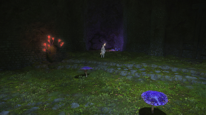 A section of one of Toto-Raks many paths closed off by fallen rocks.