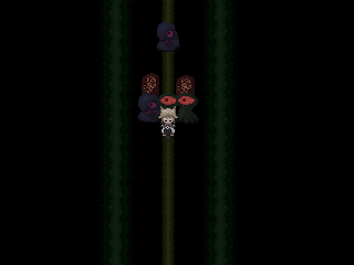 Fairytale Woods Event