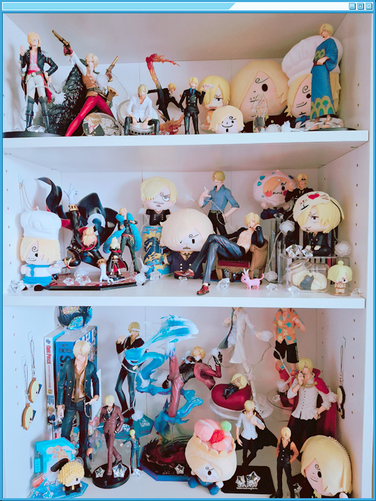 The right shelf. I'm pretty satisfied with this one's layout, but I both need to dust it, and I might tweak it slightly to start displaying TCG cards.